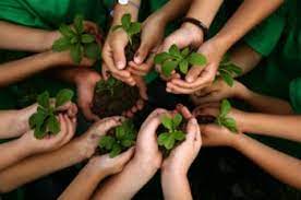 Os benefícios da Educação ambiental